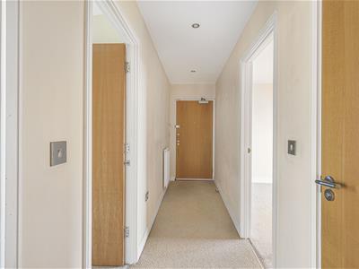 Picture 20
